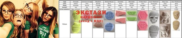 ECSTASY Богородицк